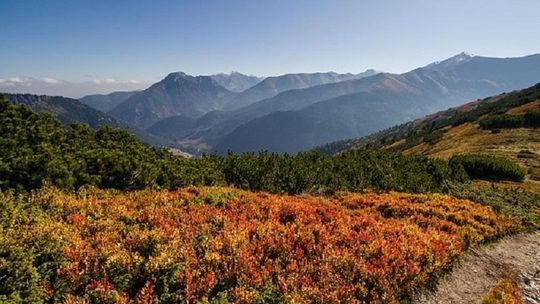 Dlaczego warto zwiedzić Tatry jesienią?