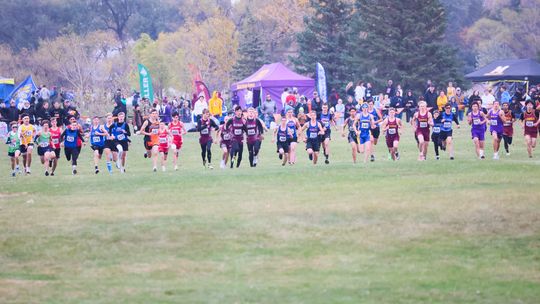 Test Tomasza Test Tomasza