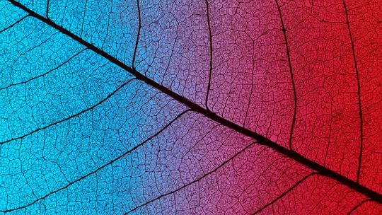 Najpiękniejsze miasta Europy